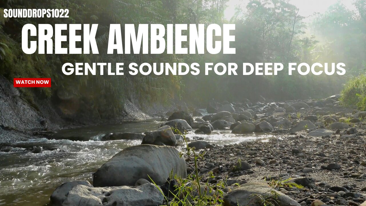 6 Hours Creek Ambience: Gentle Sounds For Deep Focus