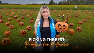 Picking the Best Pumpkin for Halloween