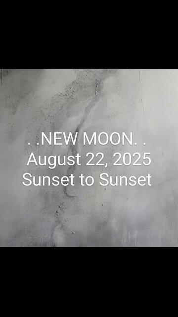 Entertainment: NEW MOON