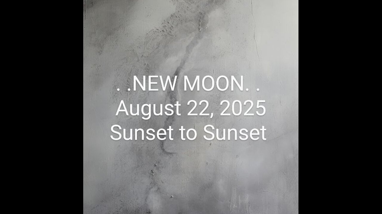 Entertainment: NEW MOON