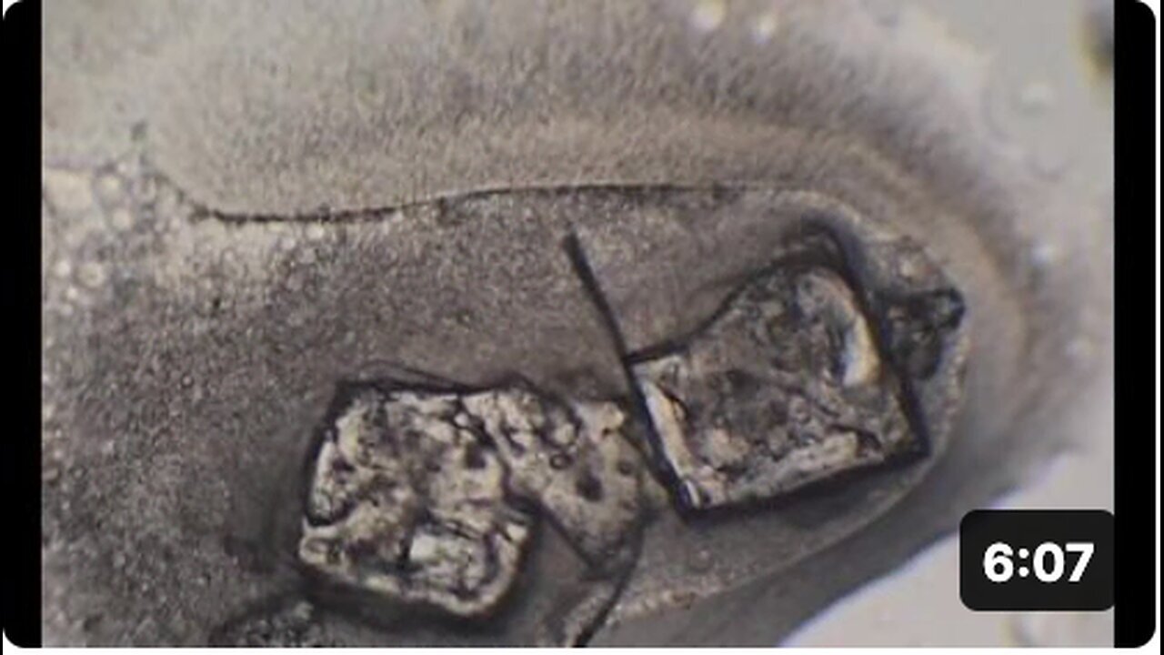 "Nanotech Interaction with Monacolin K in Injectable Formulations"