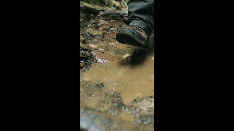 Daily Verse November 5th 2025