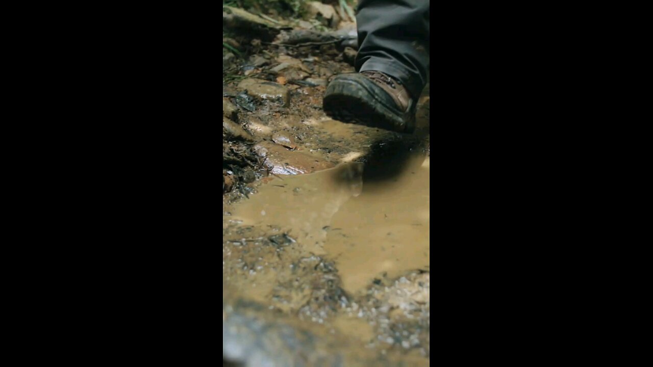 Daily Verse November 5th 2025