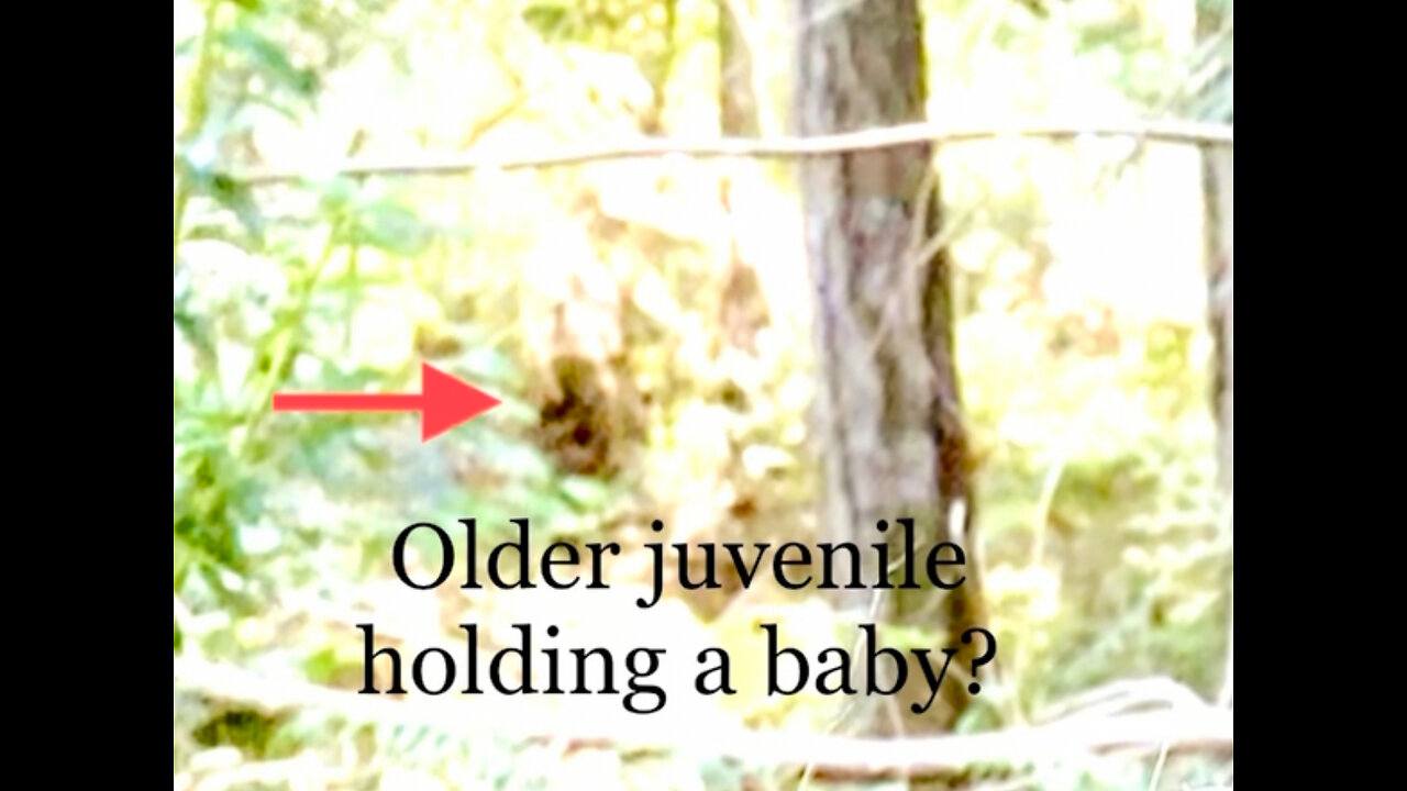 Juvenile Sasquatch holding a baby Sasquatch!