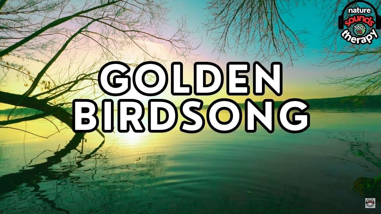 Sunset Birdsong; Magical Relaxation 4K