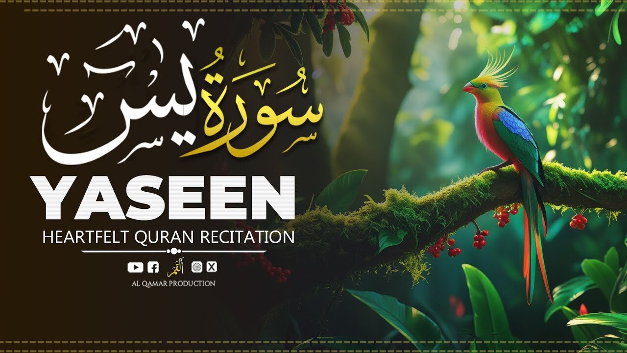 Surah Yaseen | Emotional & Uplifting Quran Recitation | Al Qamar Production
