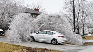 Severe Ice Storm in Southern Ontario - Freezing Rain | Downed Trees | Power Outage March 30 2025