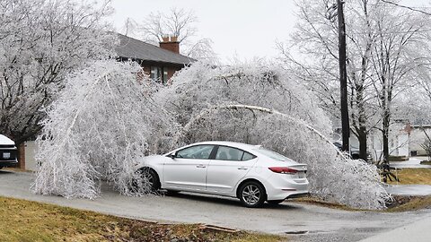 Severe Ice Storm in Southern Ontario - Freezing Rain | Downed Trees | Power Outage March 30 2025