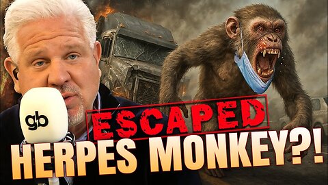 Disease-Infested Monkeys LOOSE in Mississippi?!