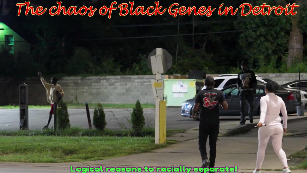The urban blight of Black genes in Detroit, logical reasons to racially separate