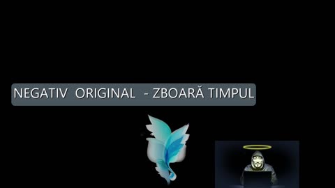 NEGATIV ORIGINAL - ZBOARĂ TIMPUL *GI*