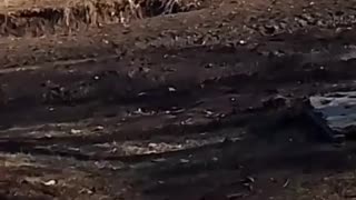 🔥 The Russian kamikaze drone "Mars" on fiber optics with a cumulative projectile