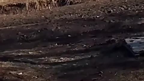 🔥 The Russian kamikaze drone "Mars" on fiber optics with a cumulative projectile