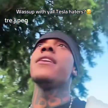 LIBERALS STILL KEYING TESLAS