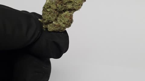 Budget THCA Flower