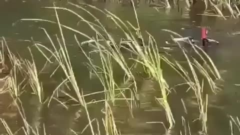 😂🚴‍♂️ This Epic Bike Fail Will Leave You Speechless! | FunFM