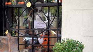 Washington Halloween decorations send vaccine message to RFK Jr.