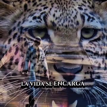 REFLEXIONES 💫 🤍 💫