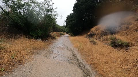 Rain