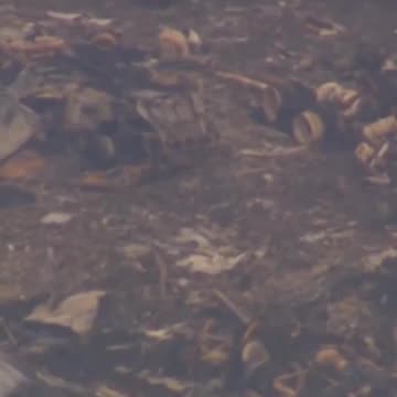 Aerial footage captures the devastating aftermath of UPS plane crash in Louisville, Kentucky