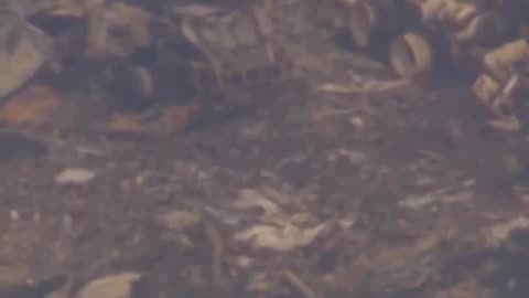 Aerial footage captures the devastating aftermath of UPS plane crash in Louisville, Kentucky