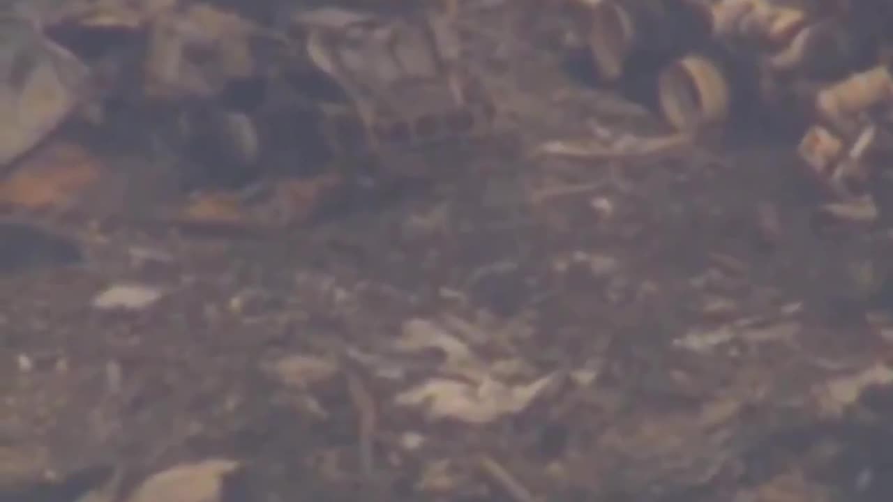 Aerial footage captures the devastating aftermath of UPS plane crash in Louisville, Kentucky