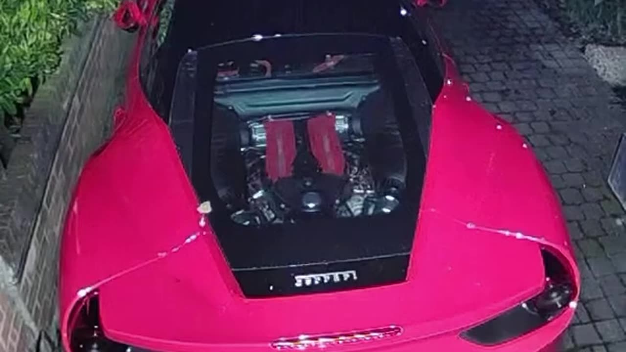 a fox in london who keeps pooping on this poor guy's ferrari 488 gtb.