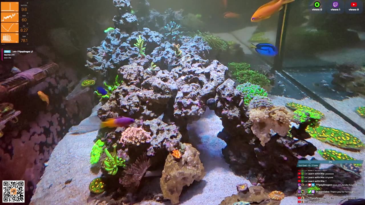 24/7 Real Live Reef Stream