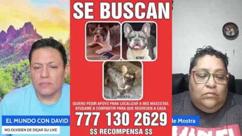 ¡José Manuel Figueroa BUSCARÁ a su sobrino! 💔 Y hablar con Imelda | Pagó rescate por sus perros
