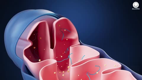 Crazy! This Has Been Found In Every Sperm Sample!