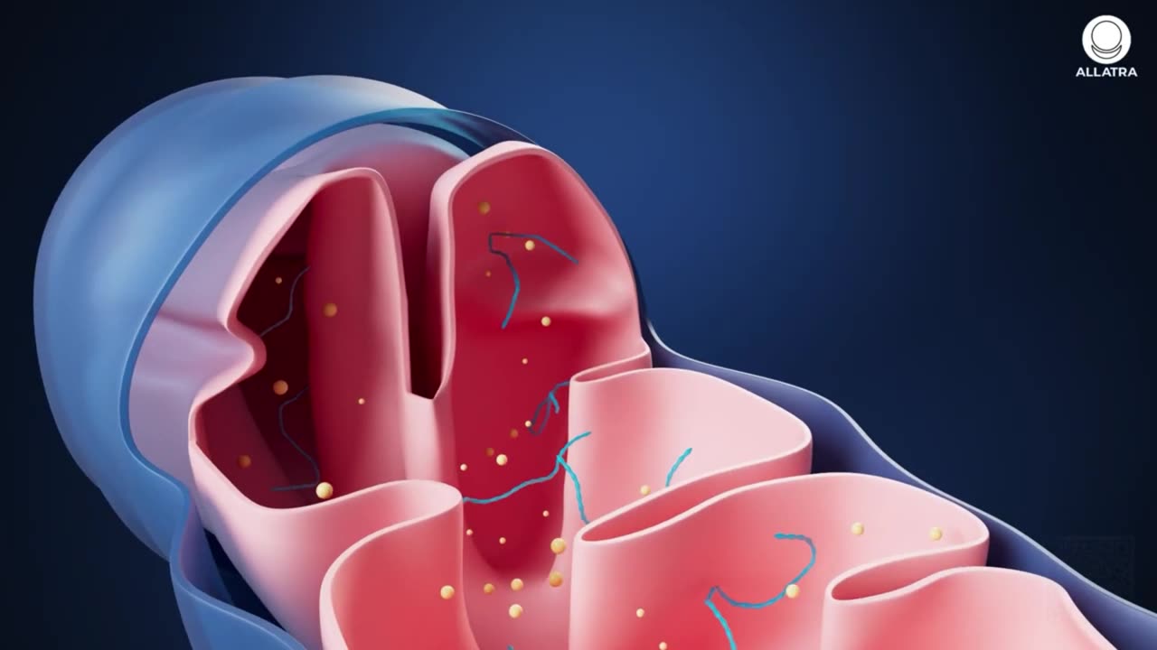 Crazy! This Has Been Found In Every Sperm Sample!