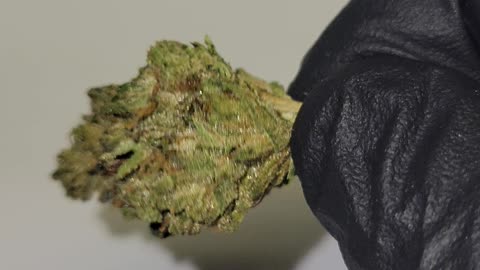 Zookies THC Flower Ounces
