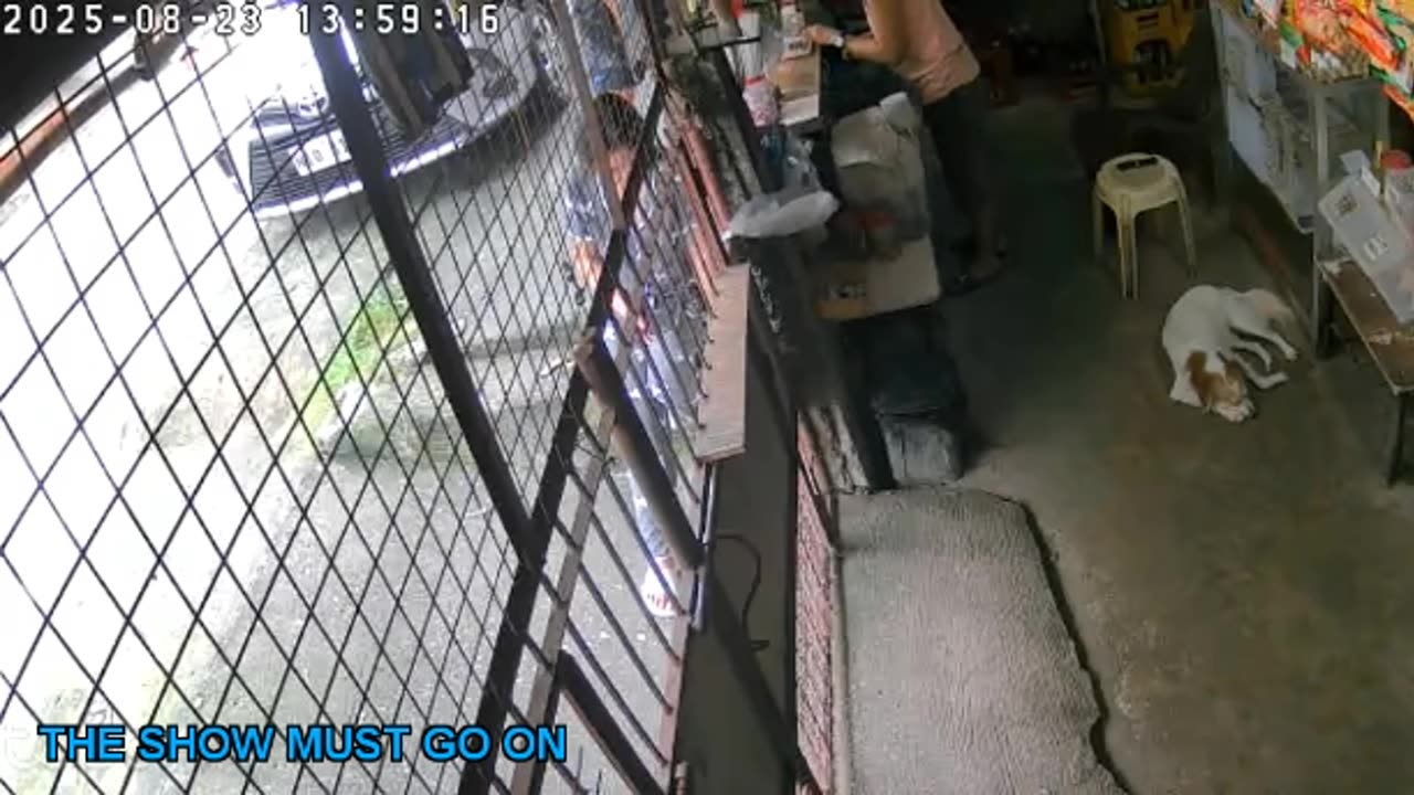 Mitsubishi Xpander 2019 Live