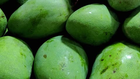Fruit Market Finds: A Colorful Citrus & Mango Haul