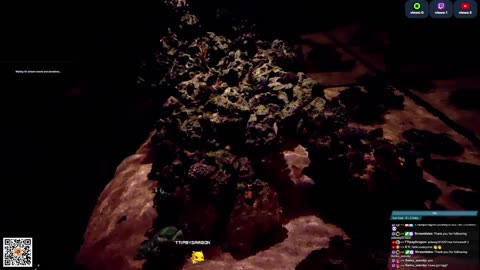 24/7 Real Live Reef Stream