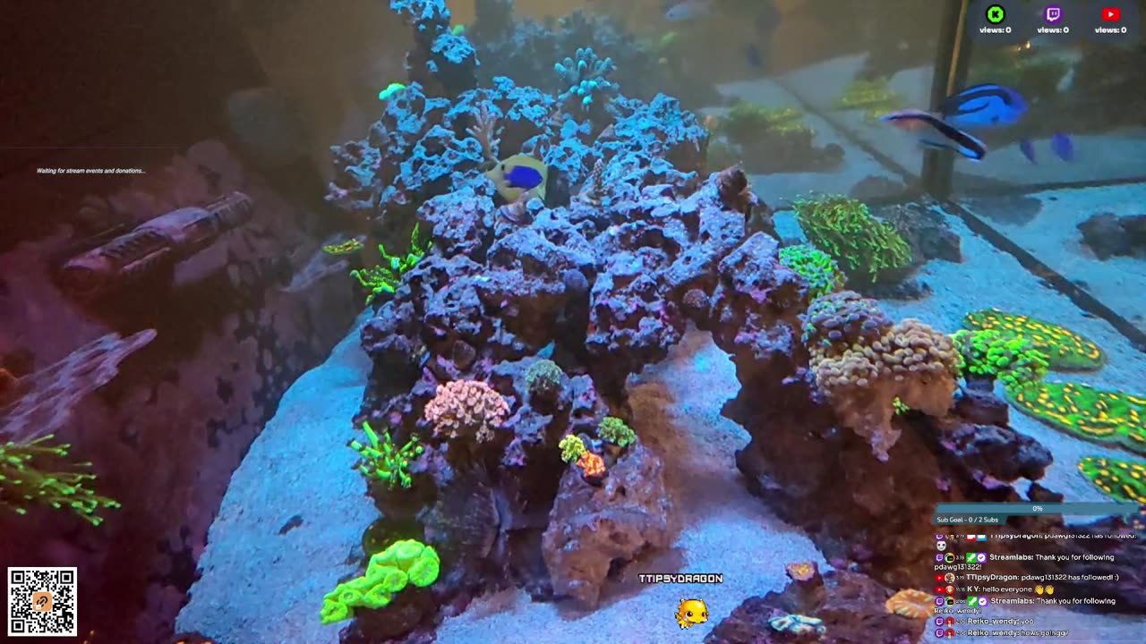 24/7 Real Live Reef Stream
