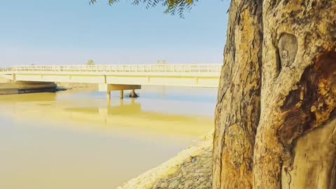 My Beautiful Village ❤ #maxrecords #larkana #sindh #pakistan