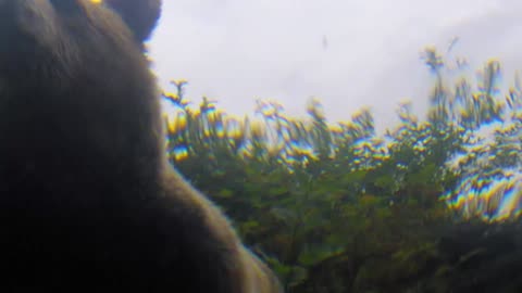 Los animalitos de Andy - T01E06 - Pescando