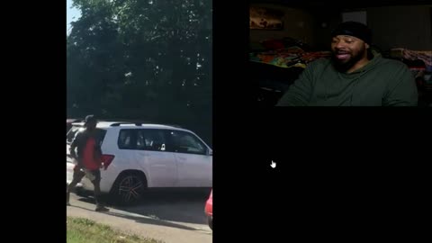 Tree Trunk Vs Car Windows