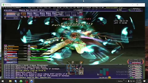 Playing Final Fantasy XI Online