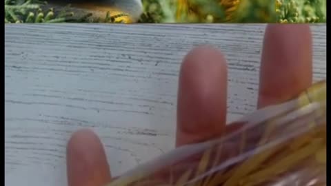 Drop Rosemary in Olive Oil and WATCH What Happens! (Simple 3-Step Recipe)