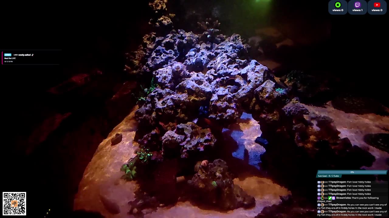 24/7 Real Live Reef Stream