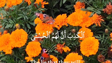 🔥 Surah An-Nahl 16:62 سورة النحل ⚡😔 #Quran #shorts #love #youtubeshorts #viral #trending #short