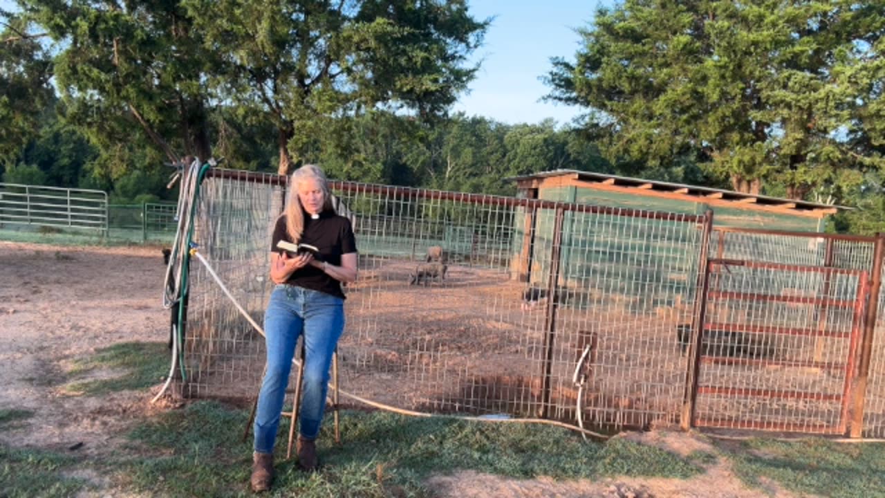 Morning Prayer, daily office