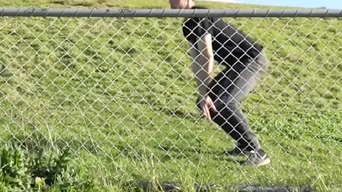How Animals Jump Over The Fence