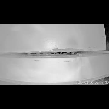 Early morning peek at the bees #bee #beekeeping #savethebees #beekeeper #honeyworks #insects #honey