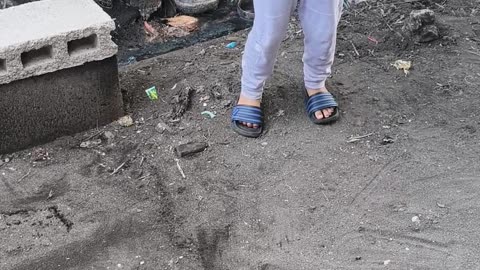 Gibunalan Ni Grey Ang Manok