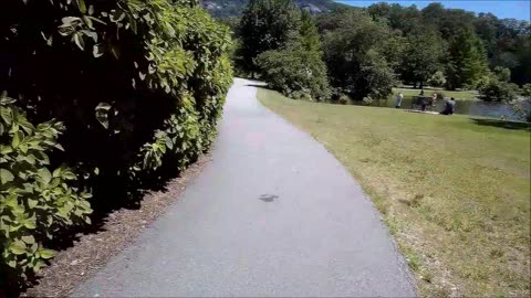 Day-Cation at Lake Lure pt.1