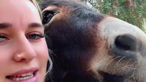 Bottle-Fed Farm Animals Grew Up Clingy