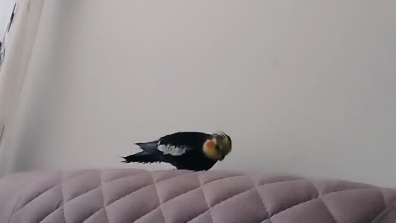 When I want to sit on the sofa